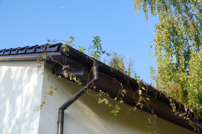 Continuous Gutters Installation
